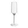 Champagne glas Aristo - 220 ml 