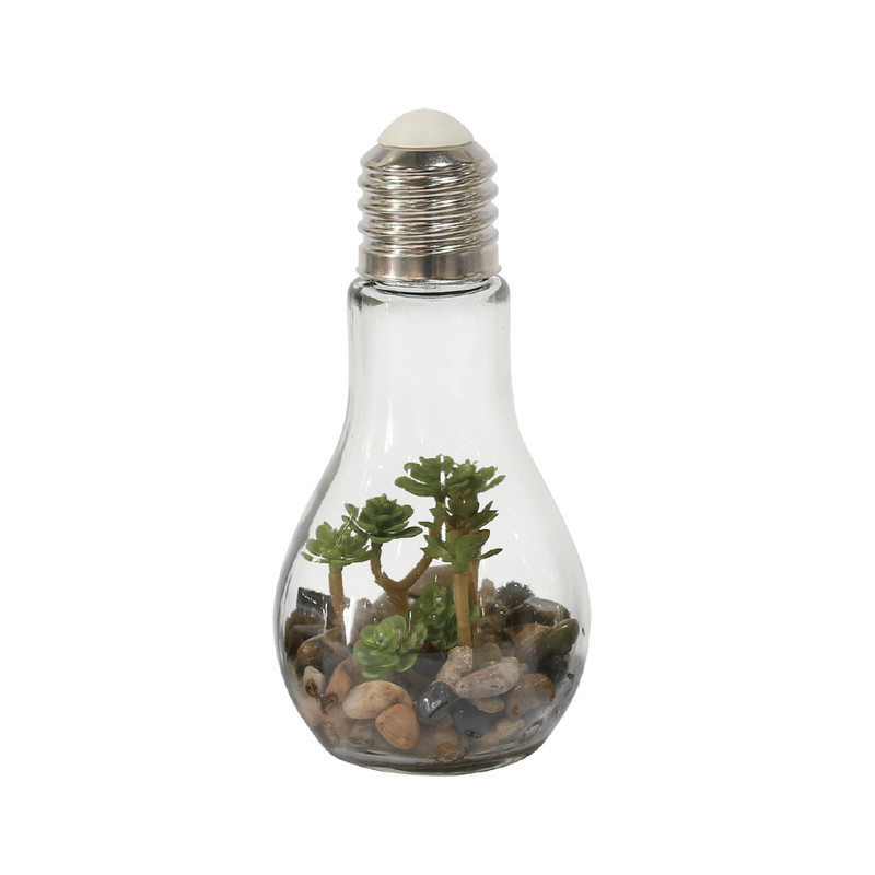 Vermenigvuldiging Bron leveren Decoratie LED lamp met plant - diverse varianten | Xenos