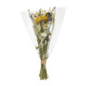 Boeket droogbloemen - diverse varianten - 60 cm