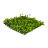 Grasmat - met plantjes - 30X30 cm