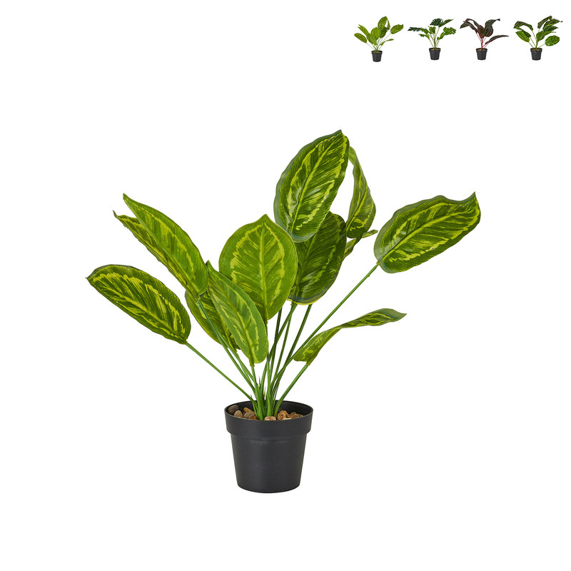 Plant in zwarte pot - diverse varianten - ⌀7x38 cm 