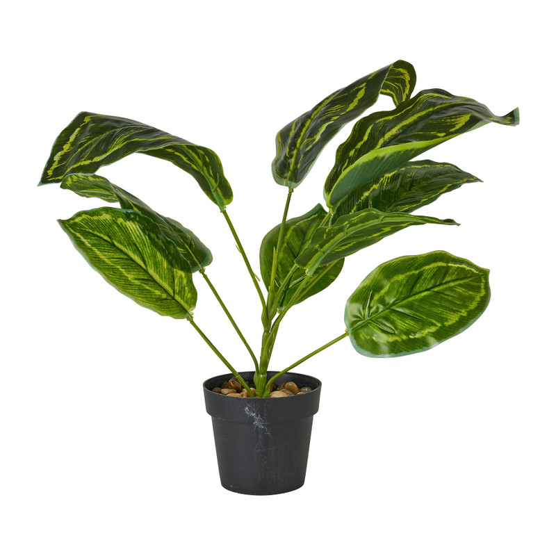 Plant in zwarte pot - diverse varianten - ⌀7x38 cm 