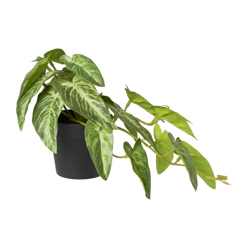 Kunstplant syngonium - 17 cm