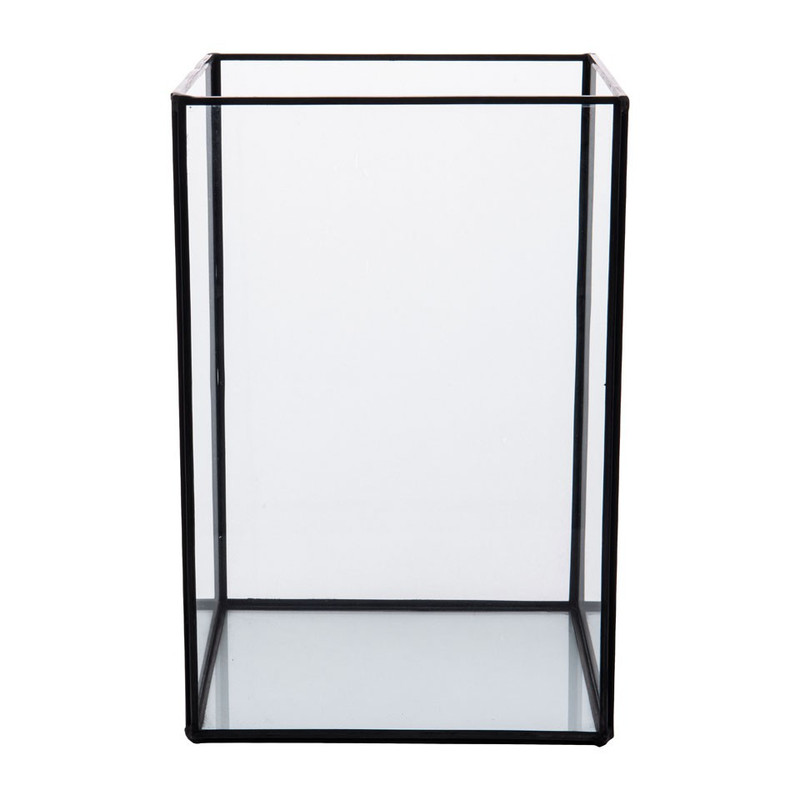 Stam Vooraf Australië Terrarium rechthoekig - glas - 18x18x27 cm | Xenos