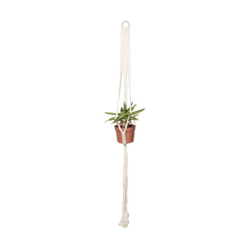 te binden beklimmen Berucht Macrame plantenhanger - diverse varianten - 110x5x0,5 cm | Xenos