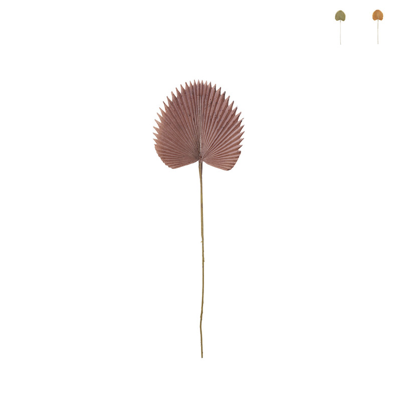 Palmblad waaier - diverse varianten - 77 cm