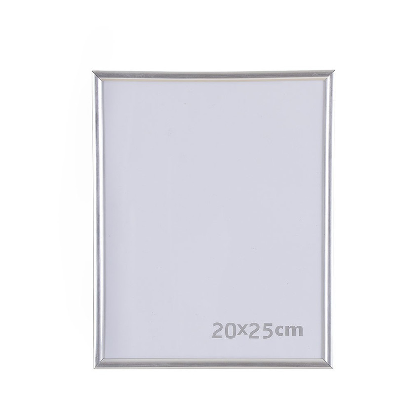 verkoudheid Detector mouw Fotolijst kunststof - 20x25 cm - zilverkleurig | Xenos