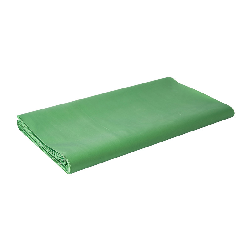 strip Krankzinnigheid Van streek Duni tafelkleed - groen - 138x220 cm | Xenos