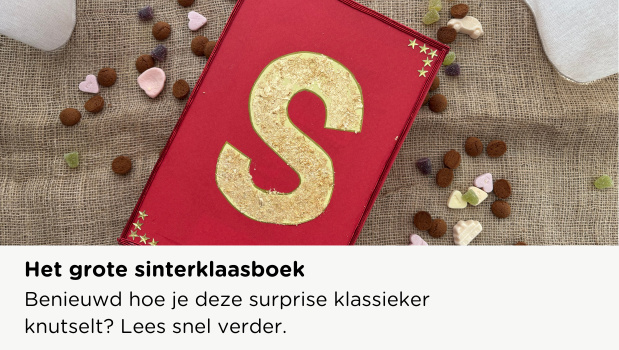 sinterklaasboek surprise